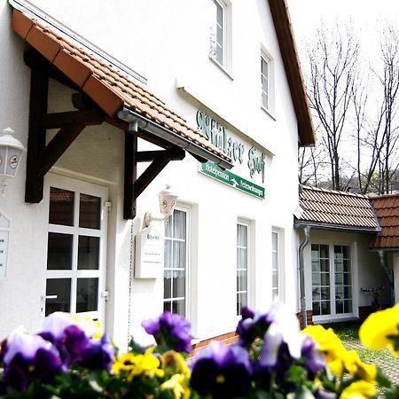 Regiohotel Pfaelzer Hof Wernigerode Dış mekan fotoğraf